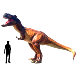 T-Rex C550-h450x260x760cm
